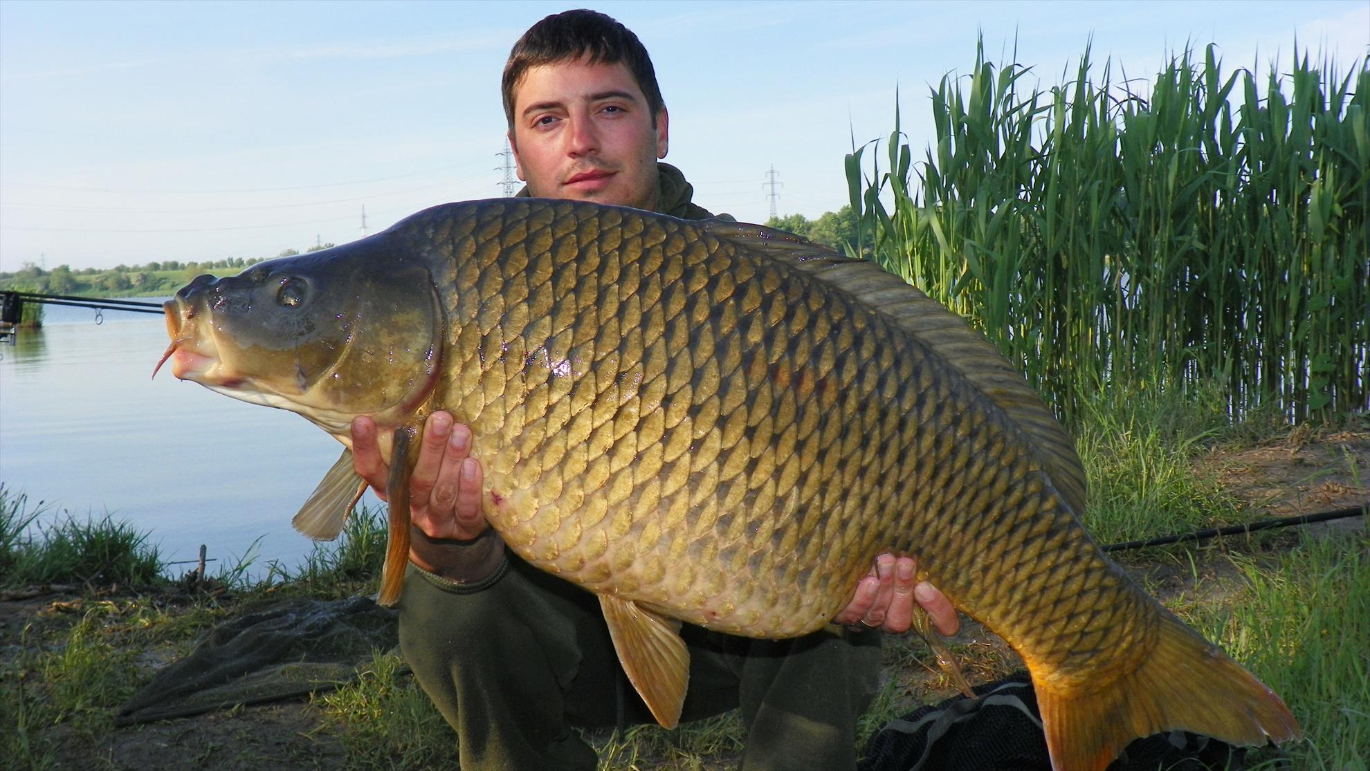 Crapmania (2) - 2011 - 1001159.JPG